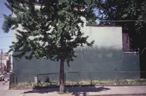 Site of mural Pas Para Vieques